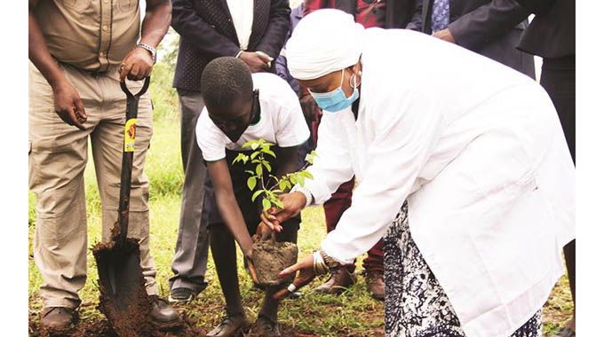 Leaders urged to take lead in tree-planting