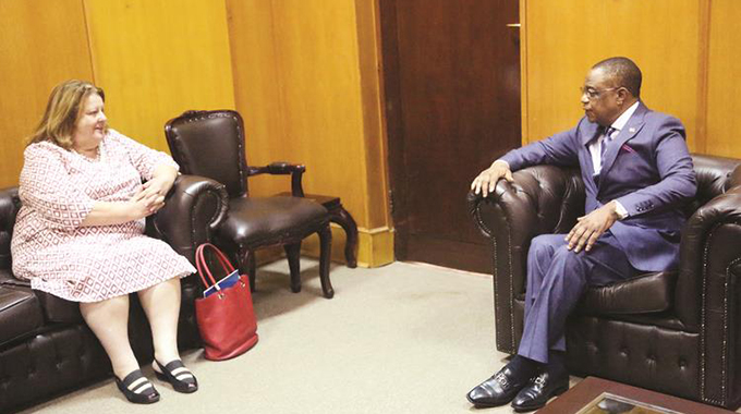 VP meets UN coordinator