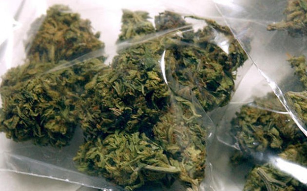Dagga