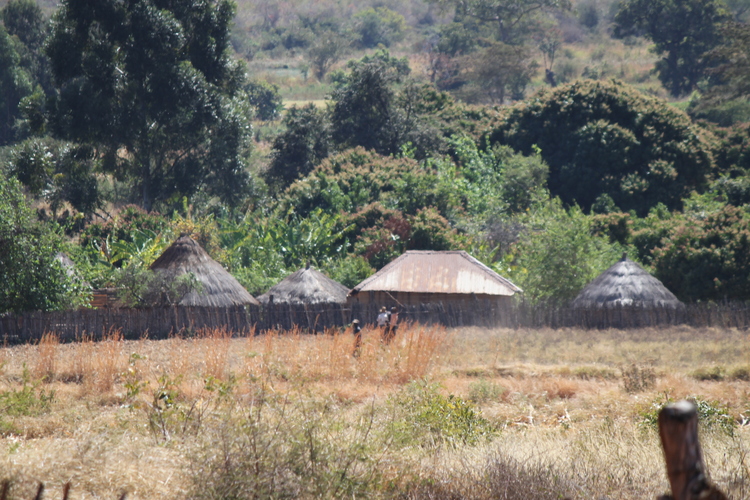 Kimpton Mutambara’s legacy lives on