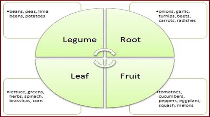 Yinala yodwa nge-crop rotation