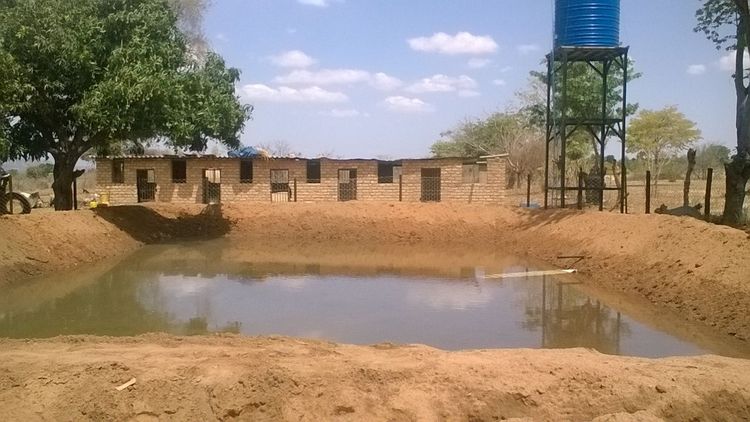 Fish farmers take preventive measures
