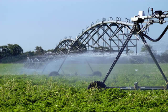 Five urgent priorities for agriculture