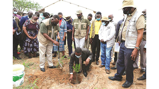 Take fruit production seriously: First Lady