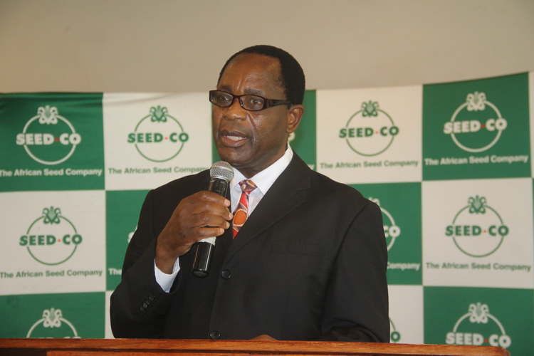 ‘Shandisai mbeu yakauchikwa’