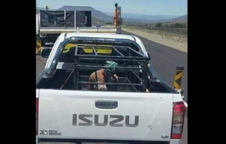This picture of a woman sitting in a cage in the back of a bakkie, sparked outrage on social media yesterday