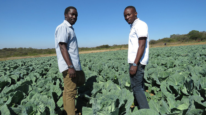 Zim poised to be UAE’s agribusiness strategic ally