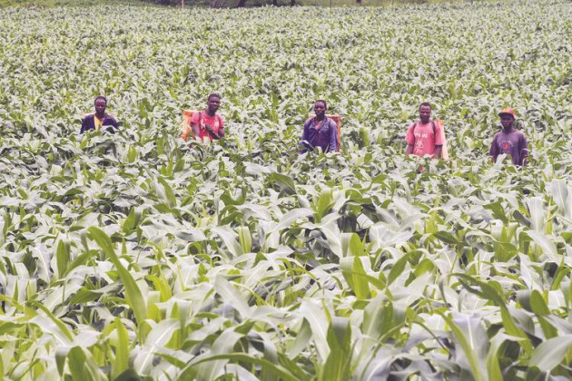 Zimbabwe has many positive stories like the Government-driven Command Agriculture Programme which is set to improve food availability, but detractors cast a blind eye to this 