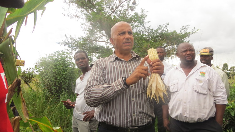 ‘Rimai mbeu yakauchikwa’