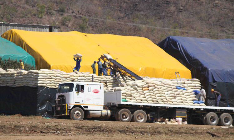 Zimbabwe reclaiming breadbasket status