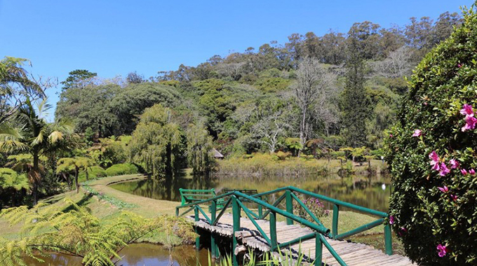 Vumba: Nature’s exhaustless generosity!