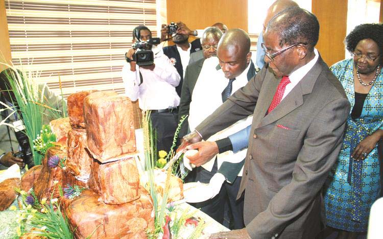 President Mugabe cuts his birthday cake modelled in the shape of the Matopos Hills venue of his 93 birthday celebrations scheduled for Saturday. The cake was provided by the Office of the President and Cabinet. Partly obscured is his son-in-law Mr Simba Chikore