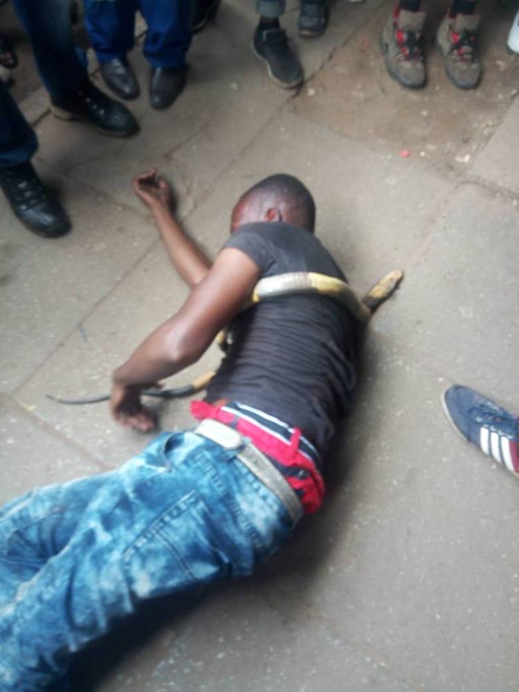 Muporofita  akamonererwa nenyoka yake…Mumota muine tsapo yemakondomu nemabhurugwa echikadzi matsaru