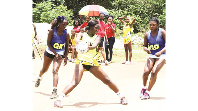 ZDF Queen suffer third defeat