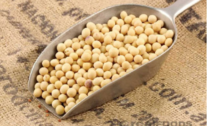 Soya beans: Gwenzi remari