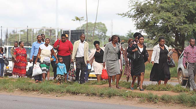 Kombi ban: Long-term solution needed