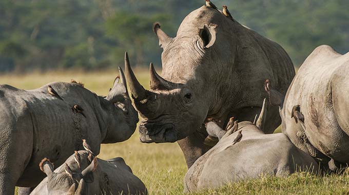 Rural communities join call for african cites secretary-general