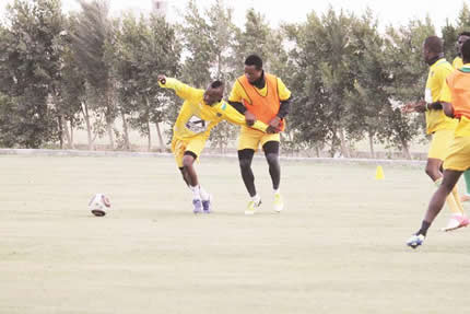 Warriors settle in Egypt