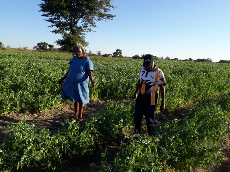 Female farmer excels in Midlands