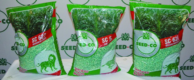Du Pont Pioneer maize seeds