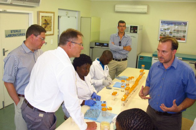 Most of the institute’s laboratories do not “belong” to any particular researcher, which creates a substantial diversity of post-docs, PhD and Masters students in individual laboratories