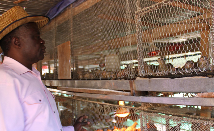Concession’s ‘Quail City’
