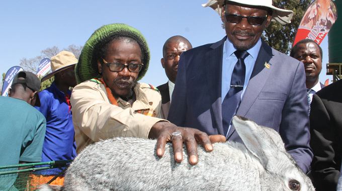 VP Mohadi hails agri-business