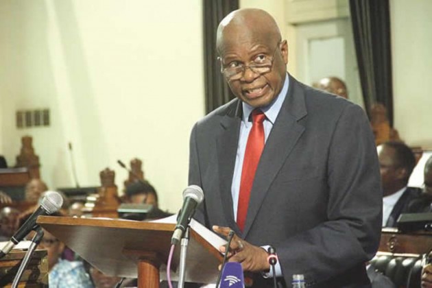 Minister Chinamasa