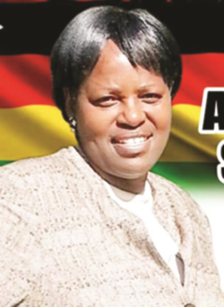 ‘Fictitious registers’ put brakes on campaigns
