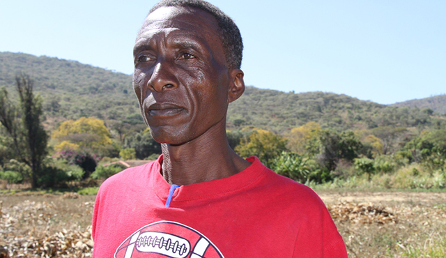 Market shortages haunt Cashel farmers