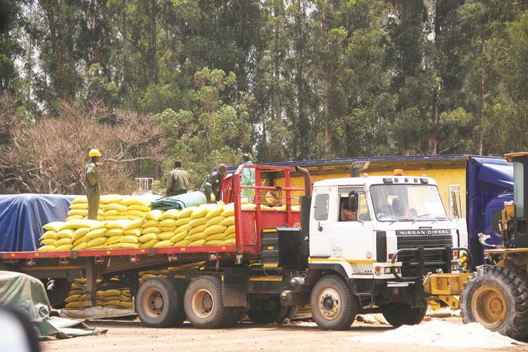 Farmers collect fertiliser under the Command Agriculture programme at Zimbabwe Fertiliser Company premises in Lochinvar, Harare, yesterday.— Picture by Justin Mutenda