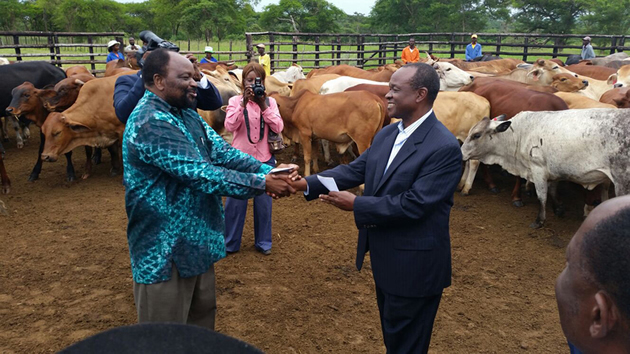 Foreign Affairs Minister Simbarashe Mumbengegwi (left) hands over 300 head of cattle to African Union Commission Deputy Chairperson Mr Erastus Mwencha. The beasts, which were handed over at Vhuka Farm in Karoi yesterday, were donated by President Mugabe to fulfil a pledge he made to help the AU fund its budget.