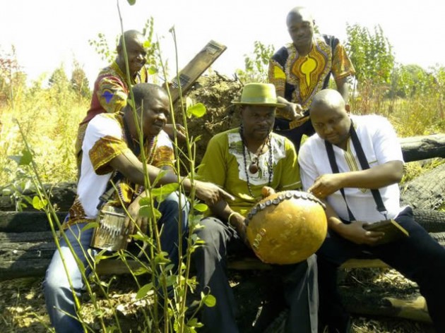 Zvirimudeze group