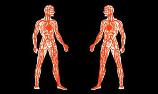 African genomic studies can solve continent’s health issues