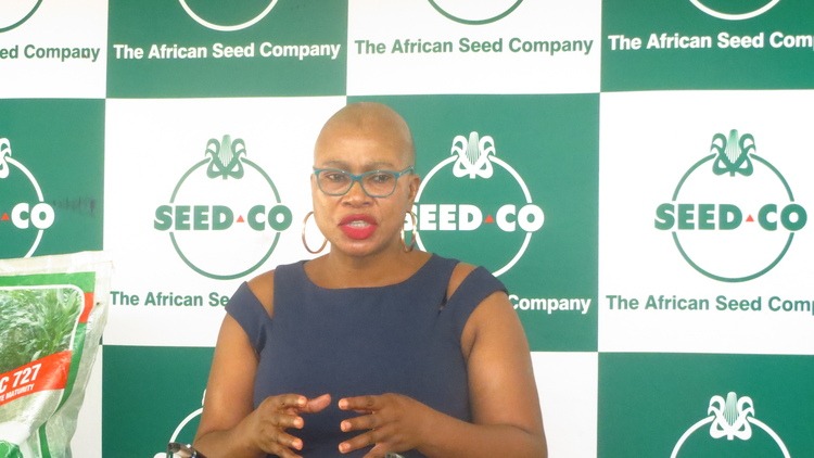 Seed Co yoita makwikwi evechidiki