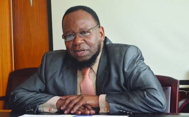 Minister Dokora