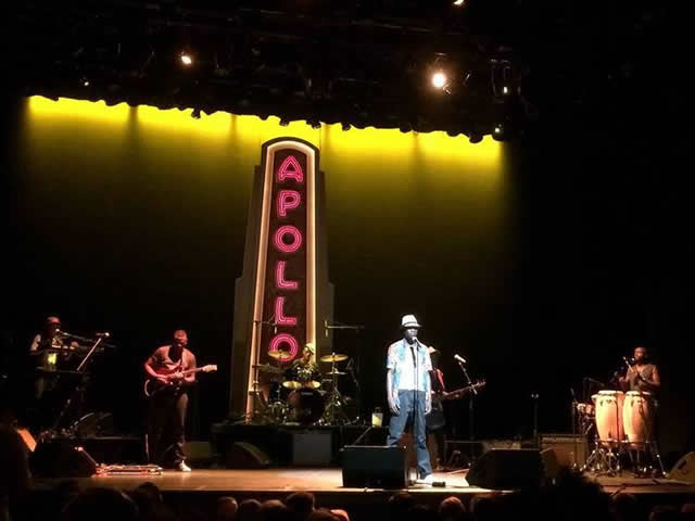 Mokoomba makes history
