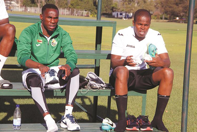 Warriors back in action