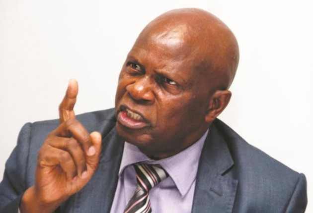 Minister Chinamasa
