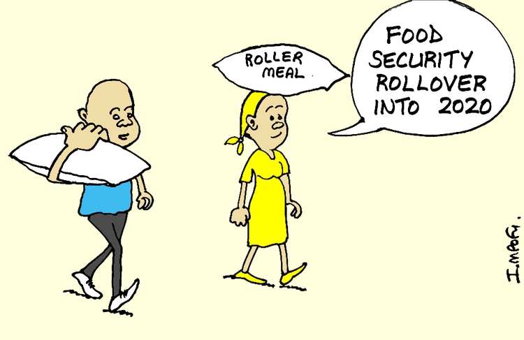 MAIN CARTOON 30 DEC 2019