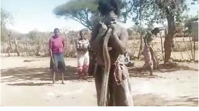 600 voitwa vakadzi nenyoka