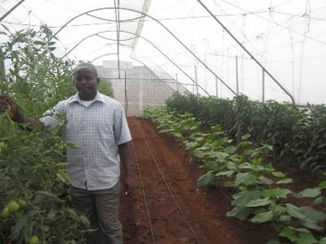 Horticultural products exports to EU up