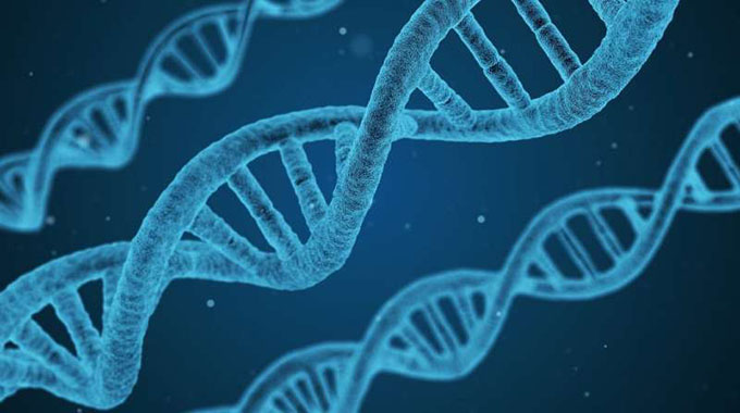 Man seeks cancellation of birth certificate after DNA drama