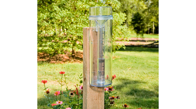 Most areas receive above 100mm cumulative rainfall