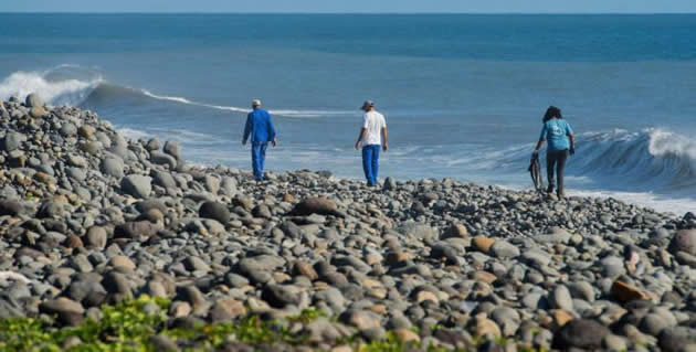 MH370 debris found in SA?
