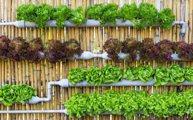 A version of a vertical farm