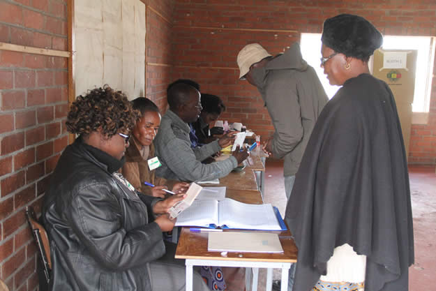 A voter has her documents checked by polling officers before casting their ballots at Mhofu Primary School polling station in Highfield where President will also cast his vote this morning