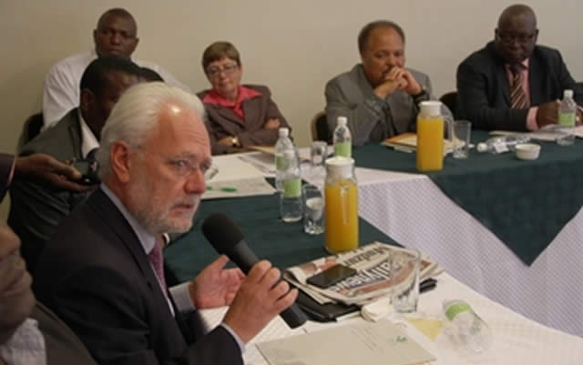 EU chides Zim NGOs, critics