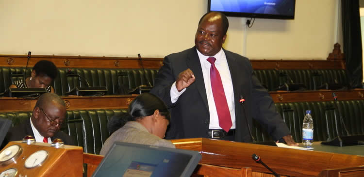 Government not disbanding Zifa