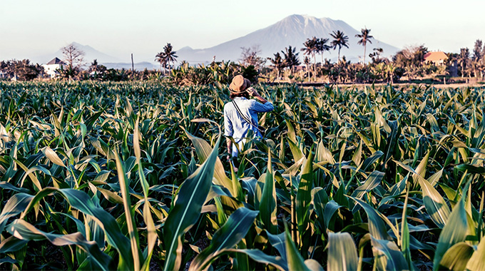 Agripreneurship: Constitutive force for economic recovery
